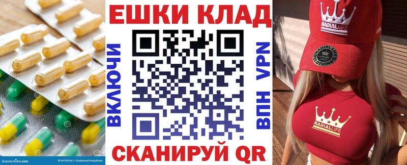 ЭКСТАЗИ Philipp Plein Инсар