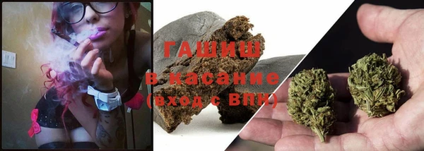 шишки Новокубанск