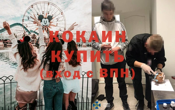 шишки Новокубанск