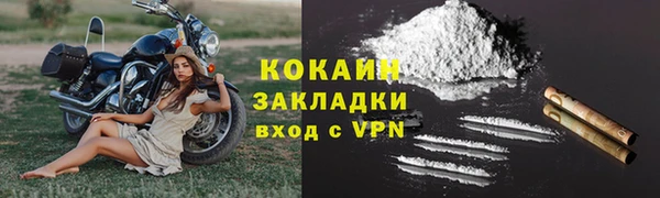 бошки Новодвинск