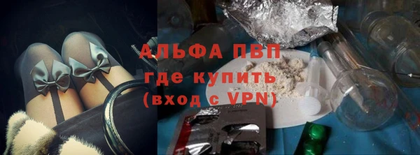 шишки Новокубанск