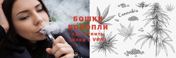 тгк Новозыбков