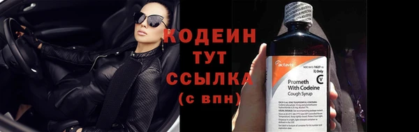 тгк Новозыбков