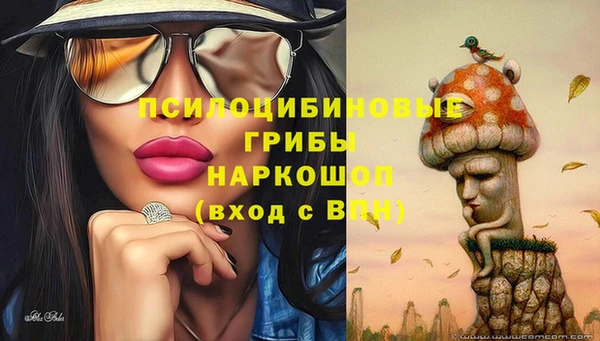 стафф Вяземский