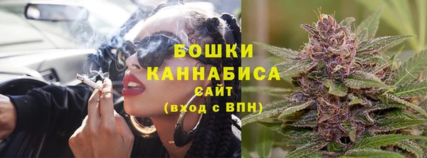 шишки Новокубанск