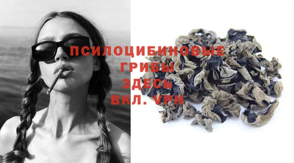 бошки Новодвинск