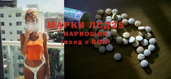шишки Новокубанск